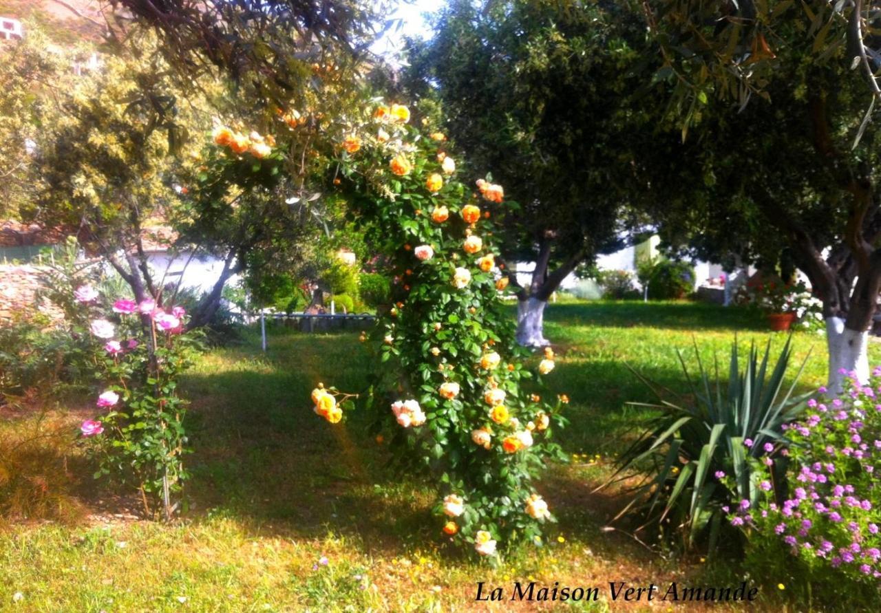 La Maison Vert Amande Spathi  Luaran gambar